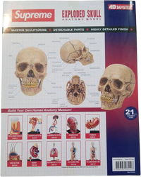 Supreme 4D Master Exploded Skull - Court Side Gear & More