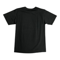 BAPE Japan Culture Spring Ape Head T-Shirt