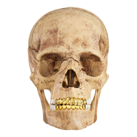 Supreme 4D Master Exploded Skull - Court Side Gear & More