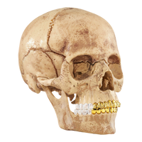 Supreme 4D Master Exploded Skull - Court Side Gear & More