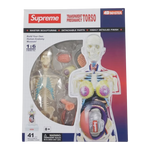 Supreme Female Anatomy Model Clear - Court Side Gear & More