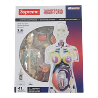 Supreme Female Anatomy Model Clear - Court Side Gear & More
