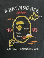 BAPE Japan Autumn Souvenir T-Shirt