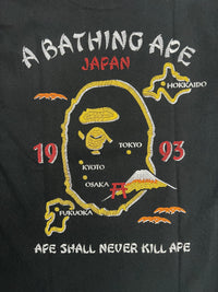 BAPE Japan Autumn Souvenir T-Shirt