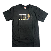 Supreme Tera Patrick Collegiate T-Shirt