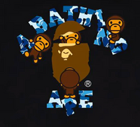 Bape ABC Camo College Milo Tee - Court Side Gear & More