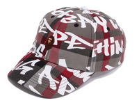 BAPE Graffiti Check Panel Cap