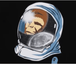 BAPE SPACE APE T-Shirt - Court Side Gear & More