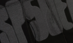 Sp5der Logo Boxer